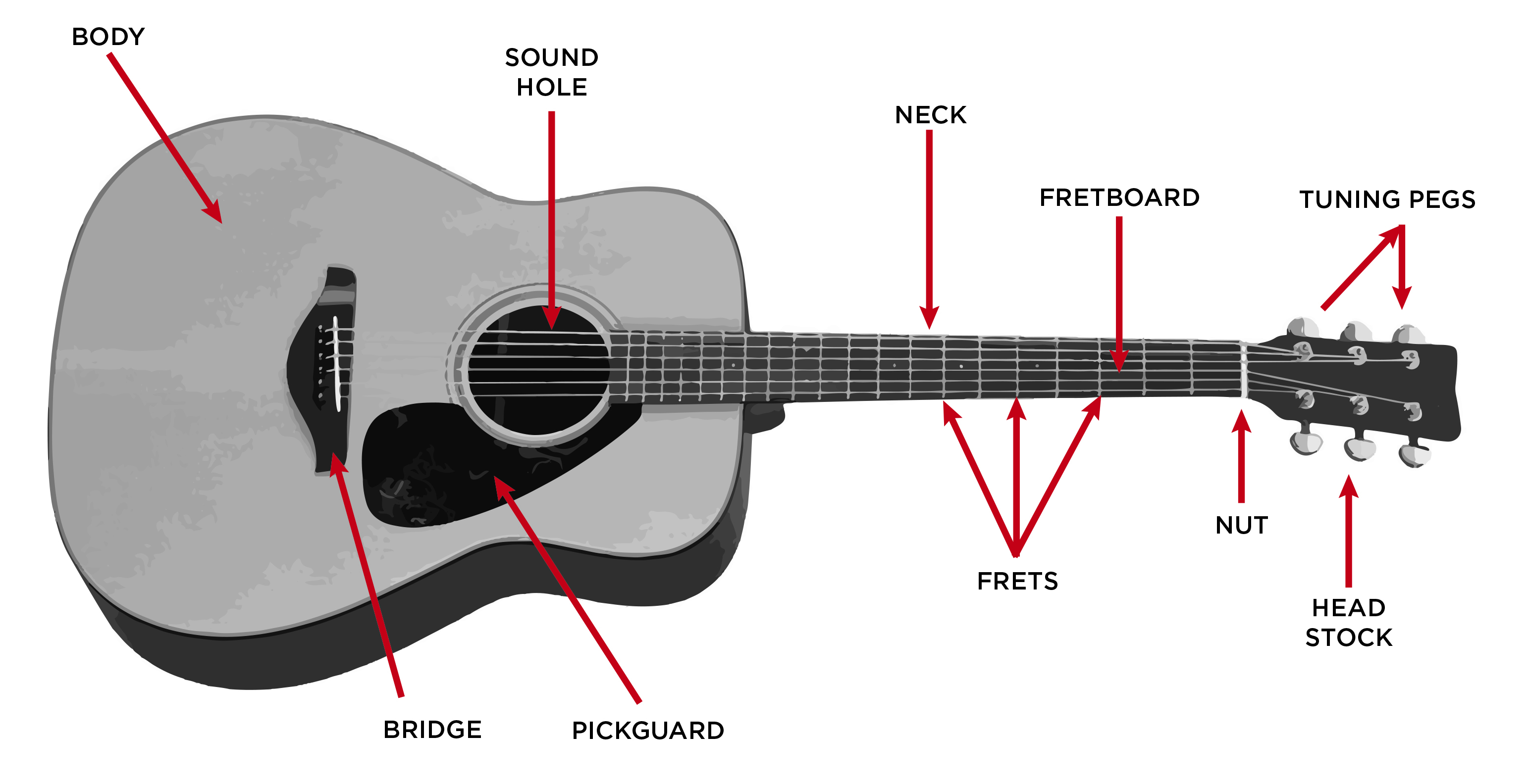 Acoustic_Guitar_Diagram-e1428680792528.jpg