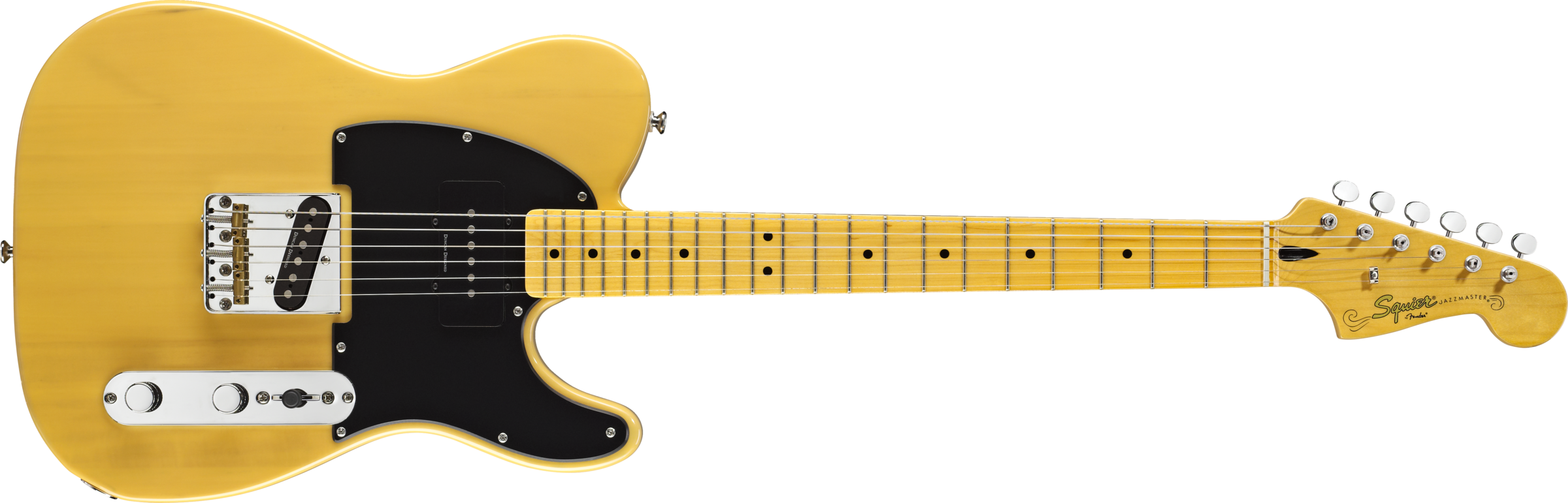 squier image .png