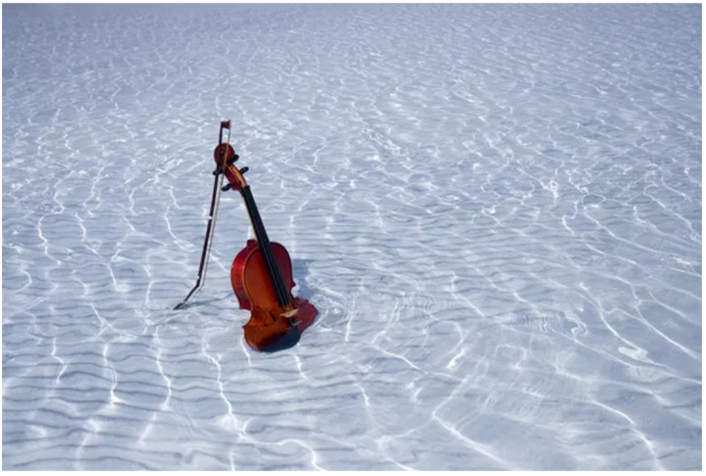 Violin in the sea