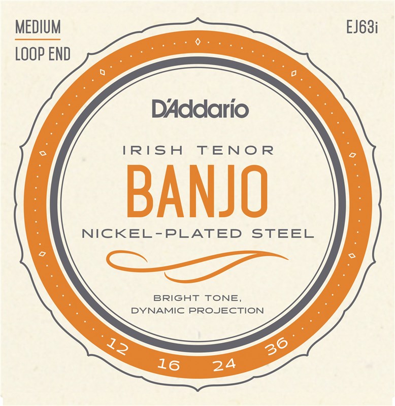 D'Addario EJ63i Nickel Plated Irish Tenor Banjo