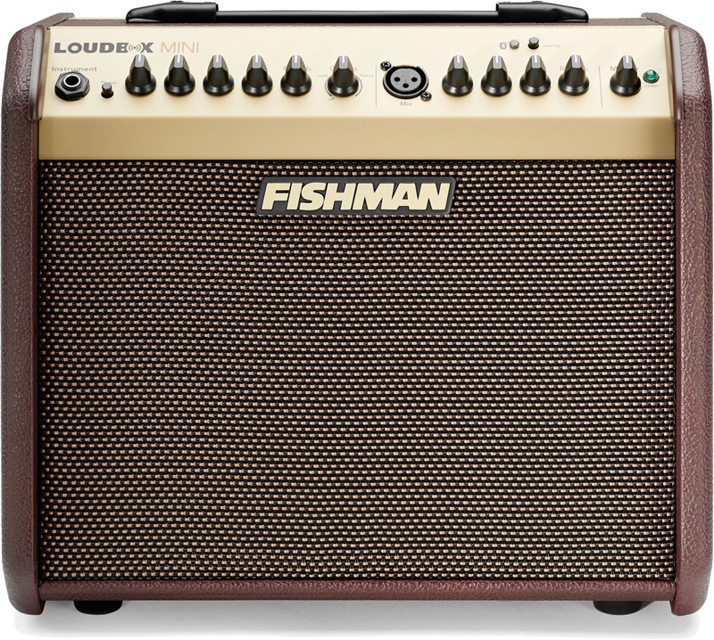 Fishman Loudbox Mini Bluetooth 1