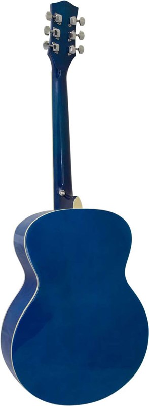 Tiger ACG2 Acoustic Guitar Pack Blue 5