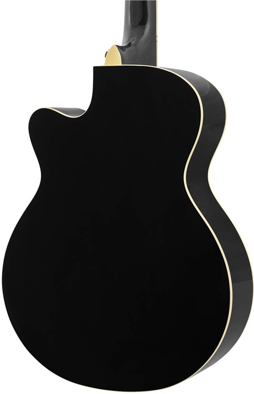 World Rhythm WR-204 Guitar, Black Back