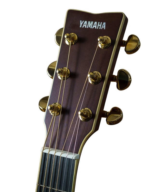 Yamaha LL-TA Acoustic, Vintage Tint Headstock