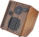 Acus One ForStrings 5T Simon 75W Kickback Acoustic Combo, Wood