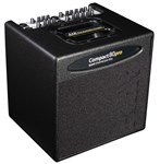 AER Compact 80 Pro Acoustic Combo