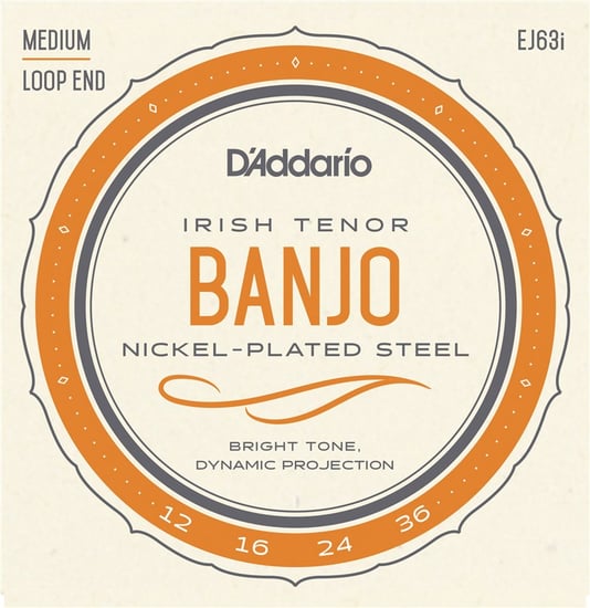 D'Addario EJ63i Nickel Plated Irish Tenor Banjo, 12-36
