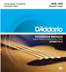 D'Addario EPBB170-5 Phosphor Bronze 5 String Acoustic Bass, 45-130
