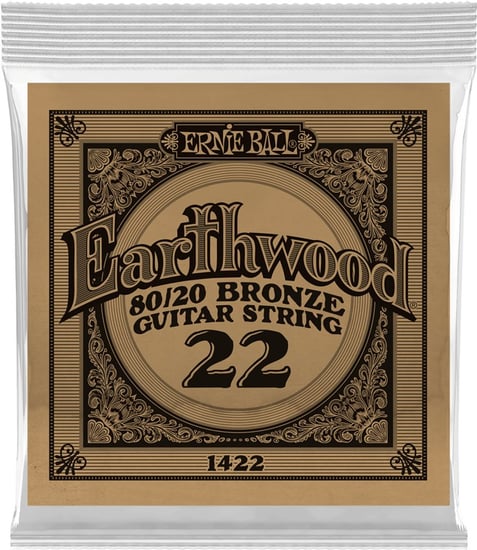 Ernie Ball 1422 Earthwood 80/20 Bronze Acoustic Single String, 22