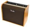 Fender Acoustic 100 amplifier