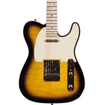 Fender Richie Kotzen Telecaster Brown Sunburst
