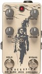 Old Blood Noise Procession Sci-Fi Reverb Pedal