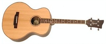 Ozark 3372 Tenor Acoustic
