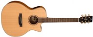Vintage VGA900RE Acoustic, Rory Evans Model