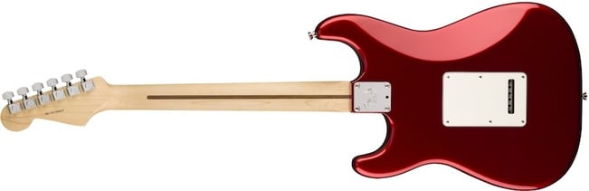 Fender American Professional Stratocaster HSS Back