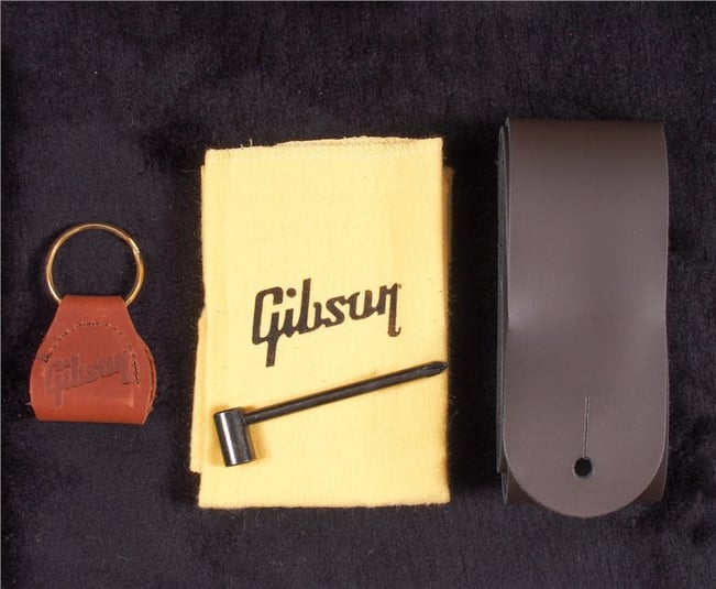 GibsonAcoustic2018LtdHbird12SVCSburst17