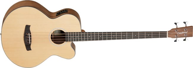 Tanglewood DBT AB BW Discovery Bass 1