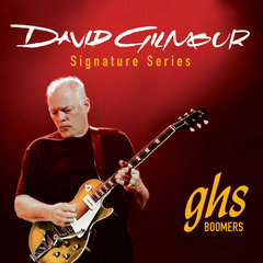 HS GB-DGF David Gilmour Electric Red 1