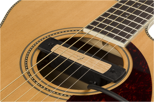 Fender Cypress Single-Coil Acoustic