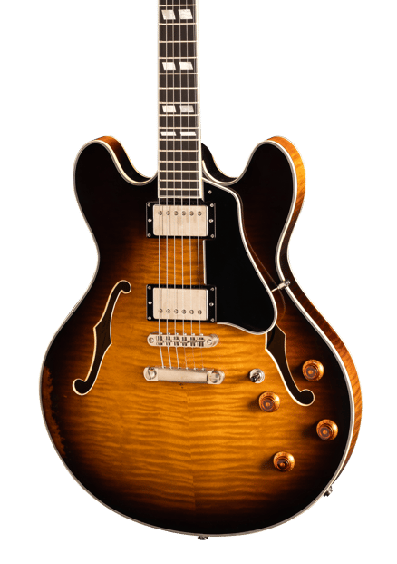 Eastman_Guitar_T59-V-SB_Thinline_Front_0523 - Copy