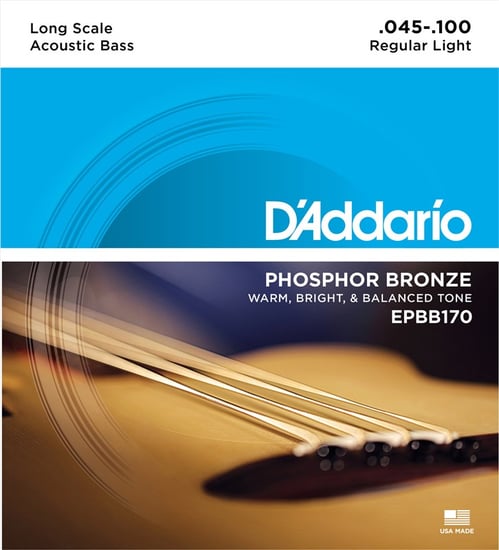 D'Addario EPBB170 Phosphor Bronze Acoustic Bass, 45-100