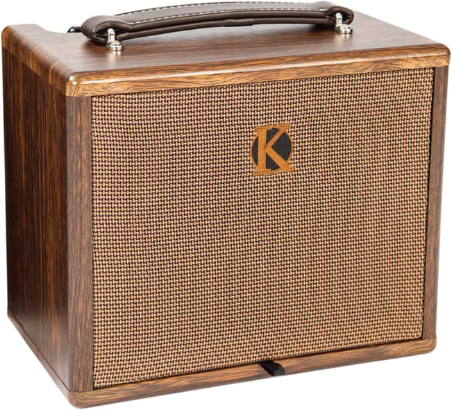 Kinsman KAA25 Acoustic Amplifier 1