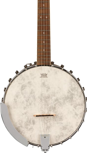 Fender PB-180E Banjo Natural Front
