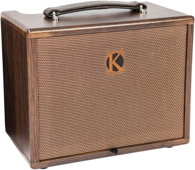 Kinsman KAA45 Acoustic Amplifier 1