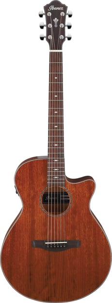 Ibanez AEG220 Electro-Acoustic, Natural Front
