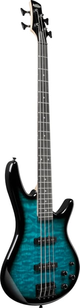 Ibanez GSR280QA Gio Bass TMS