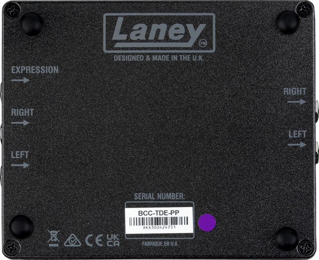 Laney BCC The Difference Engine Delay Rear