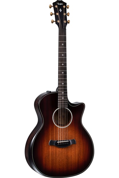 Taylor 324ce Builders Edition