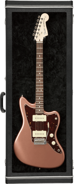 Fender Guitar Display Case