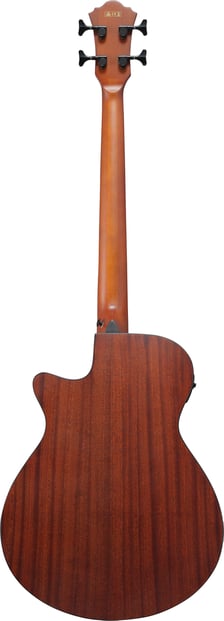 Ibanez AEGB30E Acoustic Bass Natural Back