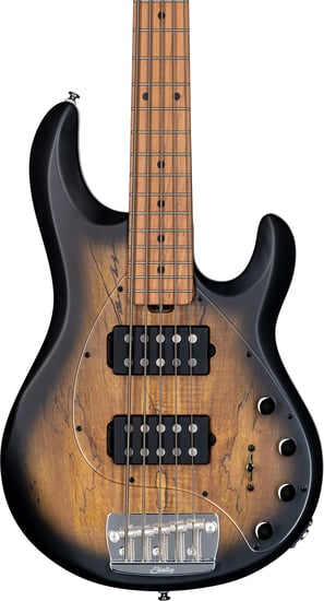 Sterling RAY35HH StingRay 5 HH Bass, Spalted Maple Natural Burl Satin