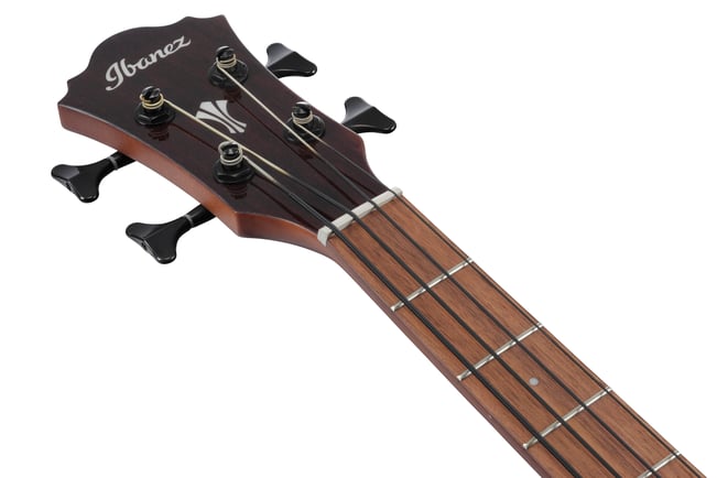 Ibanez AEGB30E Acoustic Bass Natural HS Front