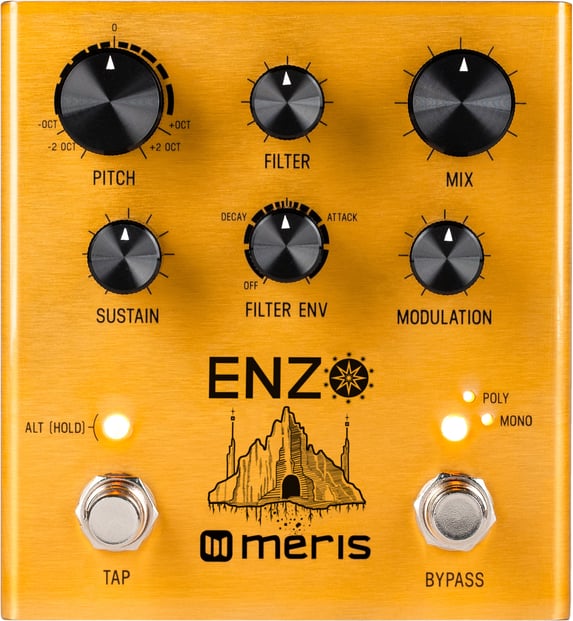 Meris Enzo Multi-Voice Synth Pedal Main