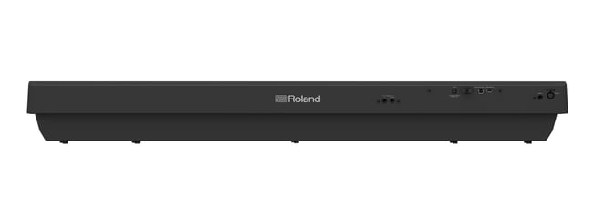 Roland FP-30X Digital Piano Black Backview