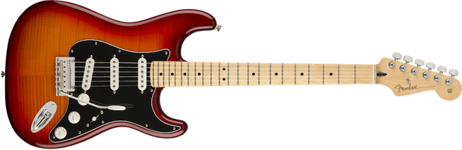 Player Stratocaster Plus Top ACB Maple