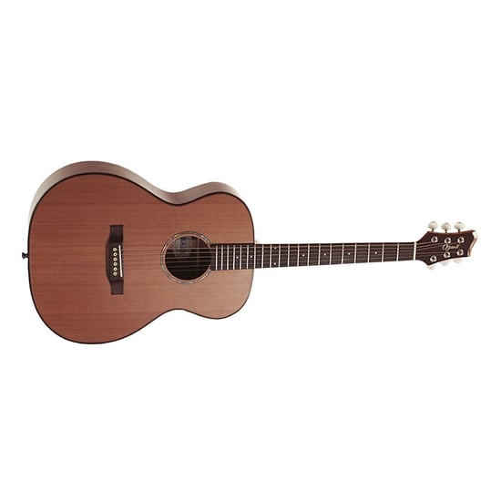 Ozark 3800 Small Bodied Acoustic
