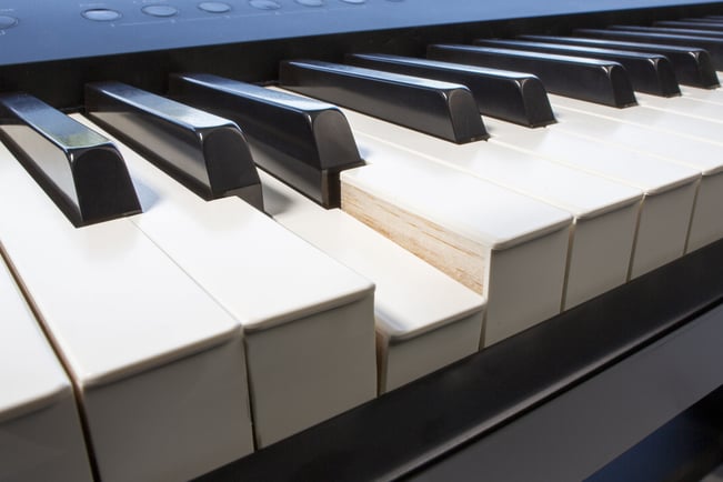Roland FP-90X Digital Piano Black Keys