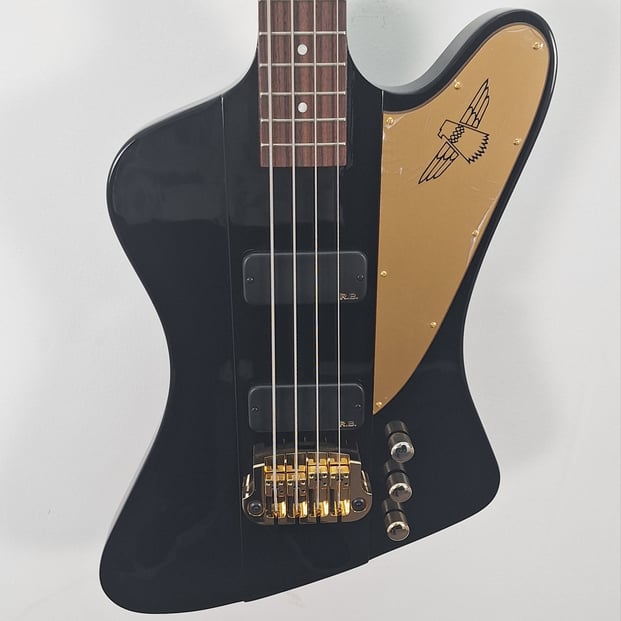 Gibson Rex Brown Thunderbird, Ex-Display